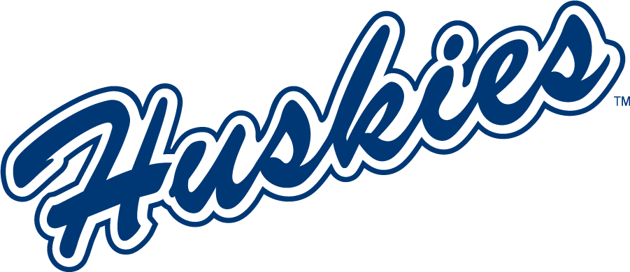 UConn Huskies 1981-2002 Wordmark Logo diy iron on heat transfer